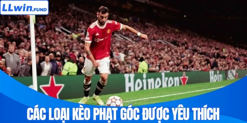 Các loại kèo phạt góc được yêu thích 