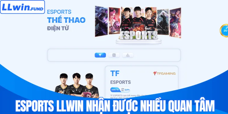 Esports LLWIN nhận được nhiều quan tâm