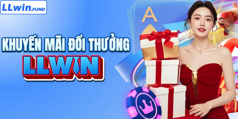 Khám phá các giấy phép hoạt động LLWIN