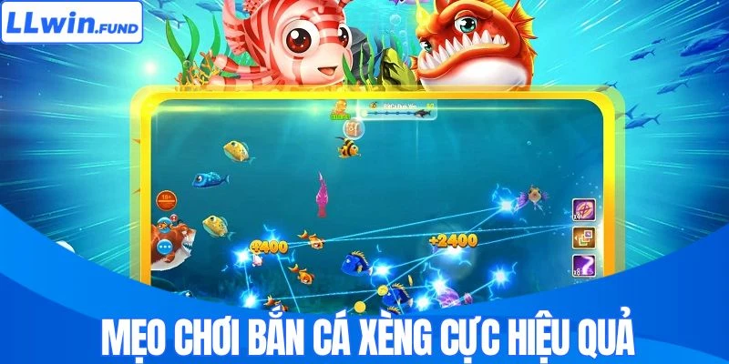 Mẹo chơi bắn cá xèng cực hiệu quả