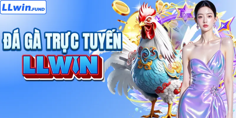 Sức hút từ những trận đá gà trực tuyến