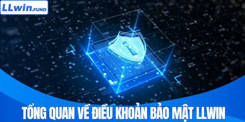 Tổng quan về điều khoản bảo mật LLWIN