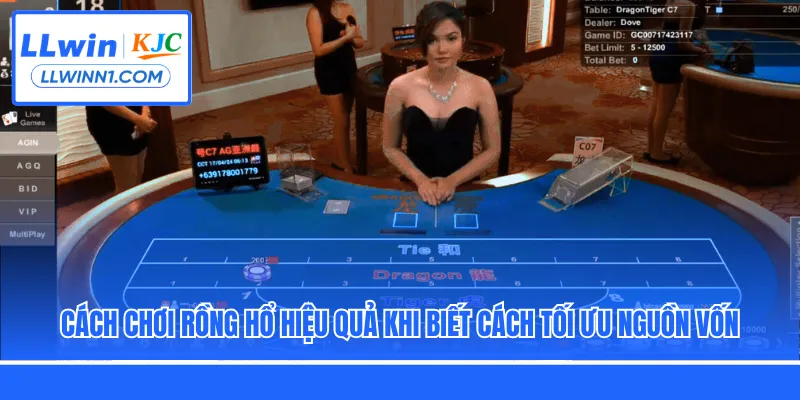 Cách chơi Rồng Hổ hiệu quả khi biết cách tối ưu nguồn vốn