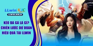 Kèo Đá Gà Là Gì? Chiến Lược Dự Đoán Hiệu Quả Tại LLwin
