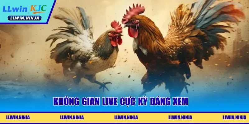 Không gian live cực kỳ đáng xem