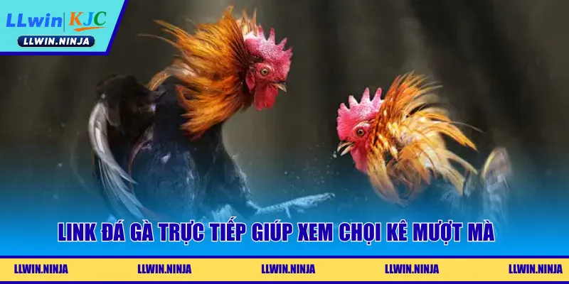 Link đá gà trực tiếp giúp xem chọi kê mượt mà