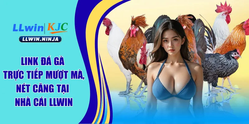 Link Đá Gà Trực Tiếp Mượt Mà, Nét Căng Tại Nhà Cái LLwin